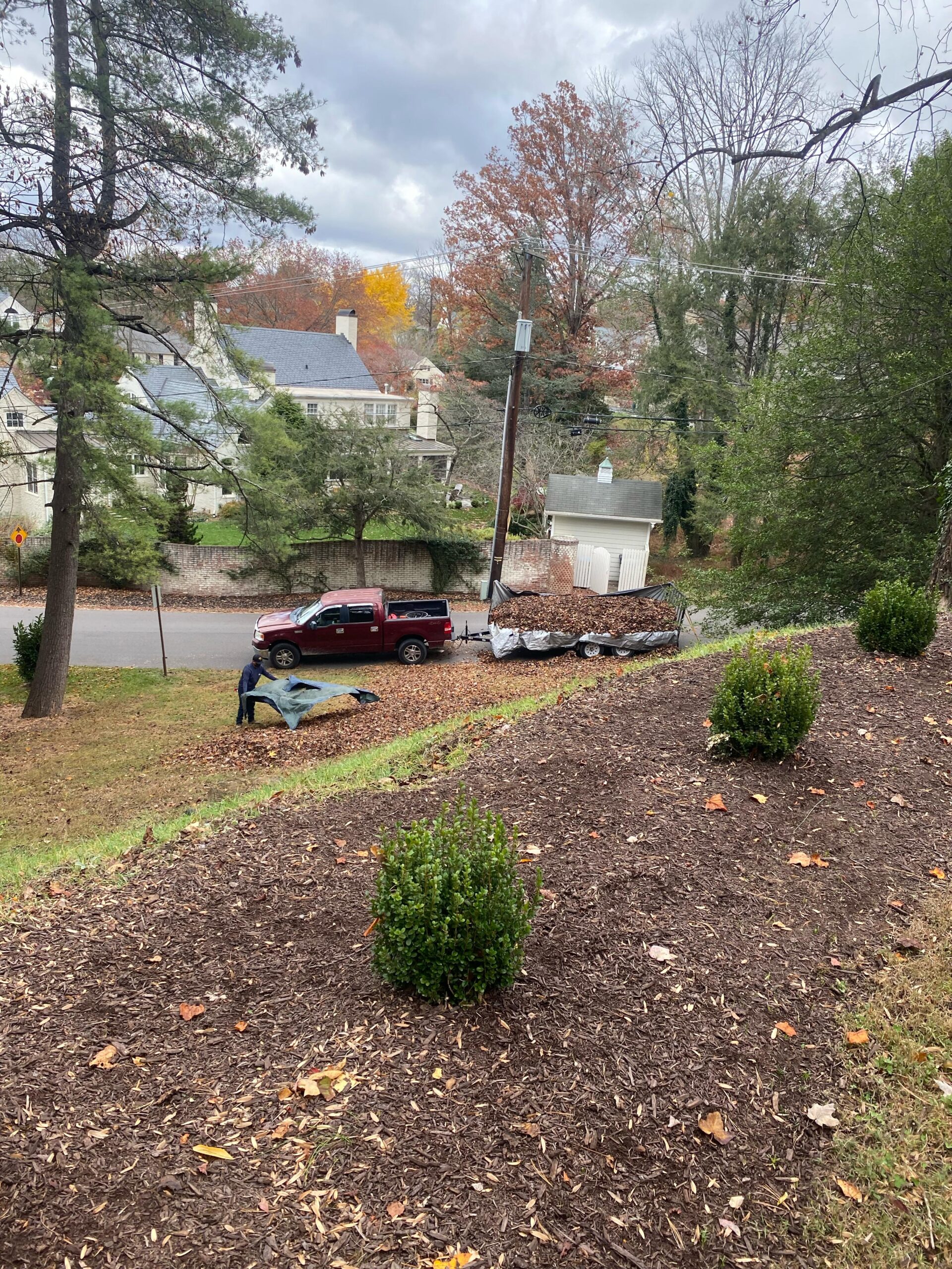 Home mulching2