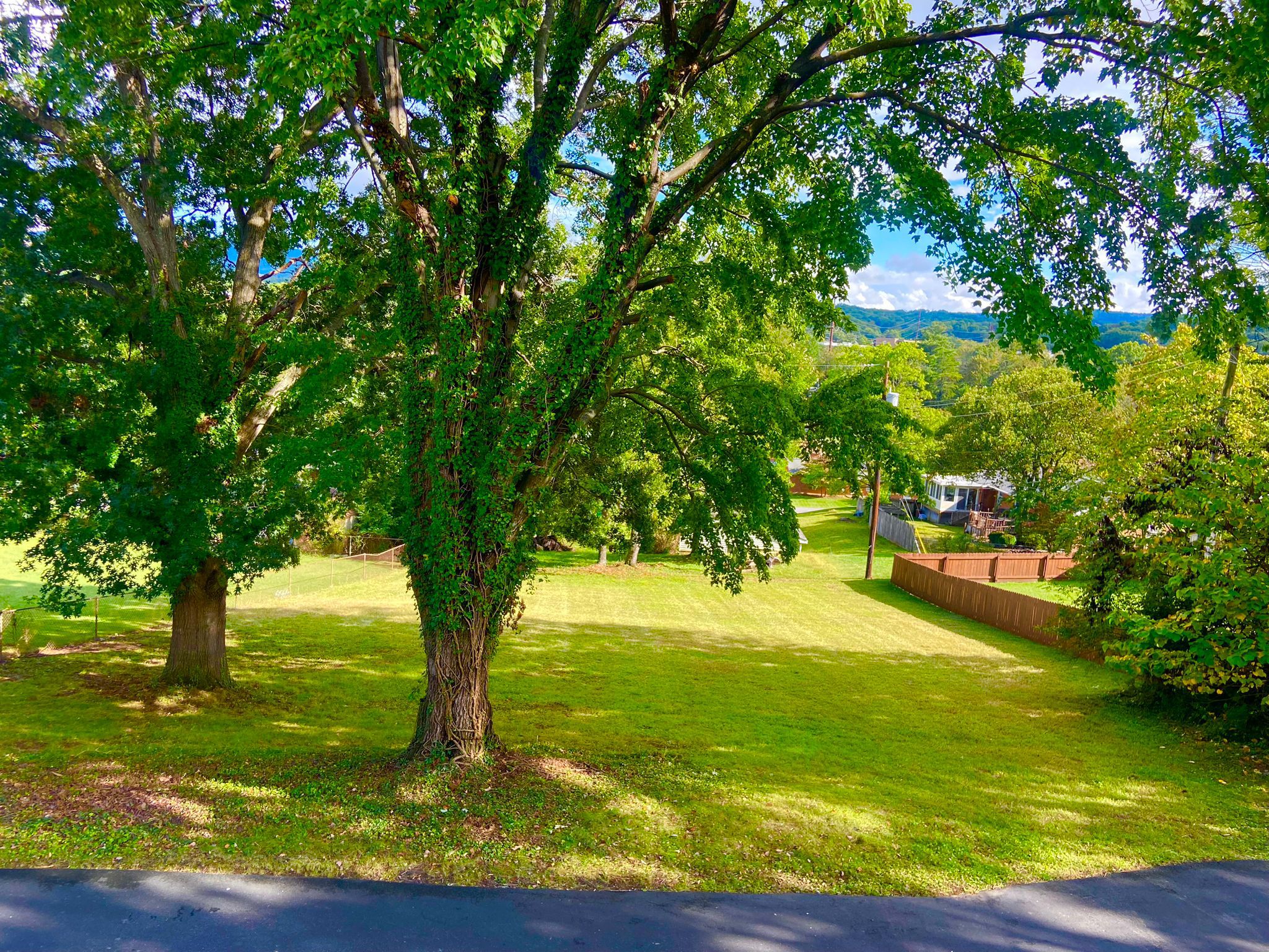 Services services lawn maintenance