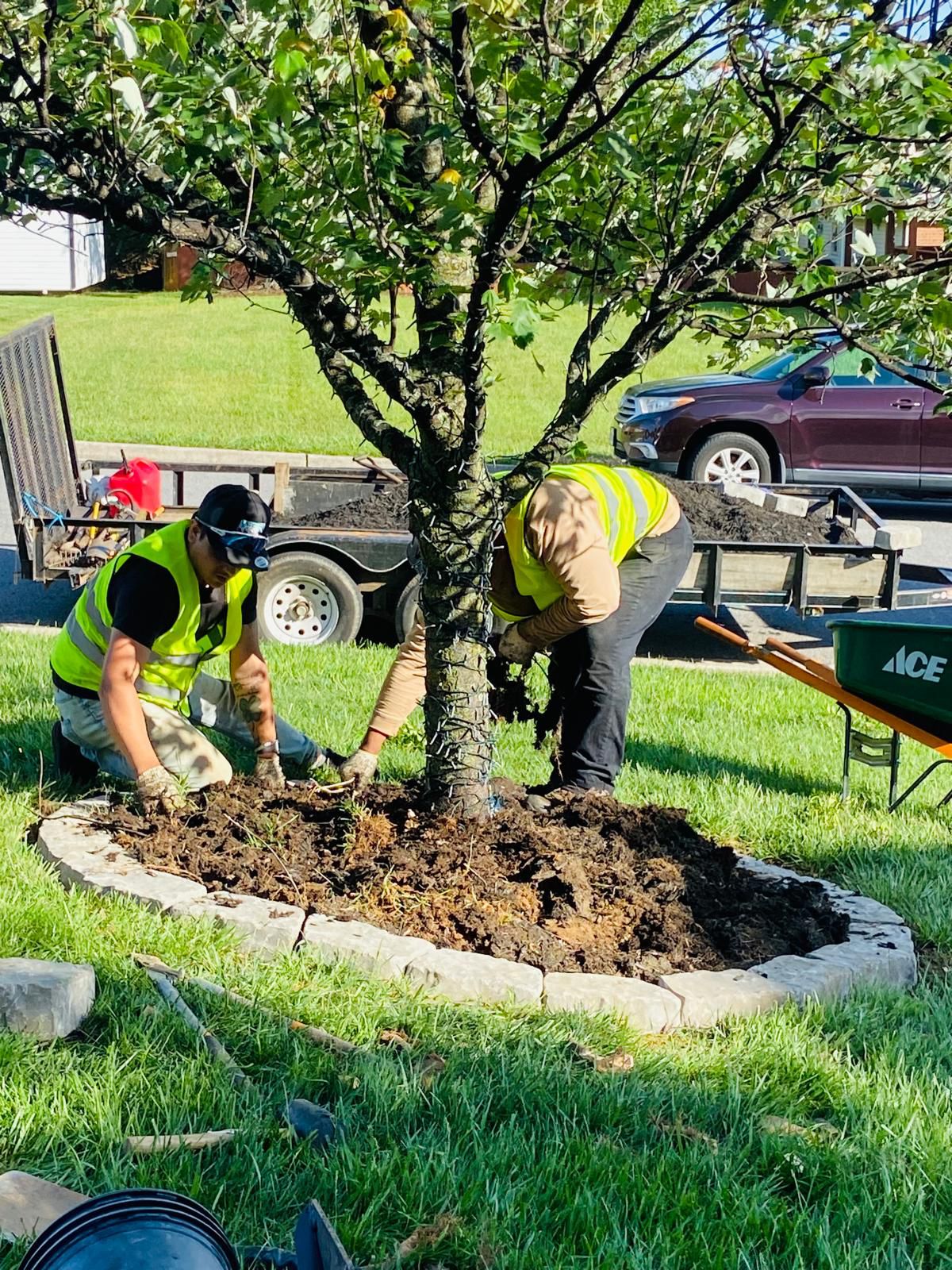 Services services mulching