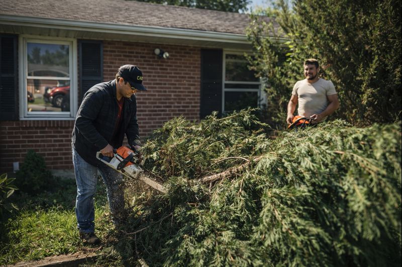 Services services treetrimming