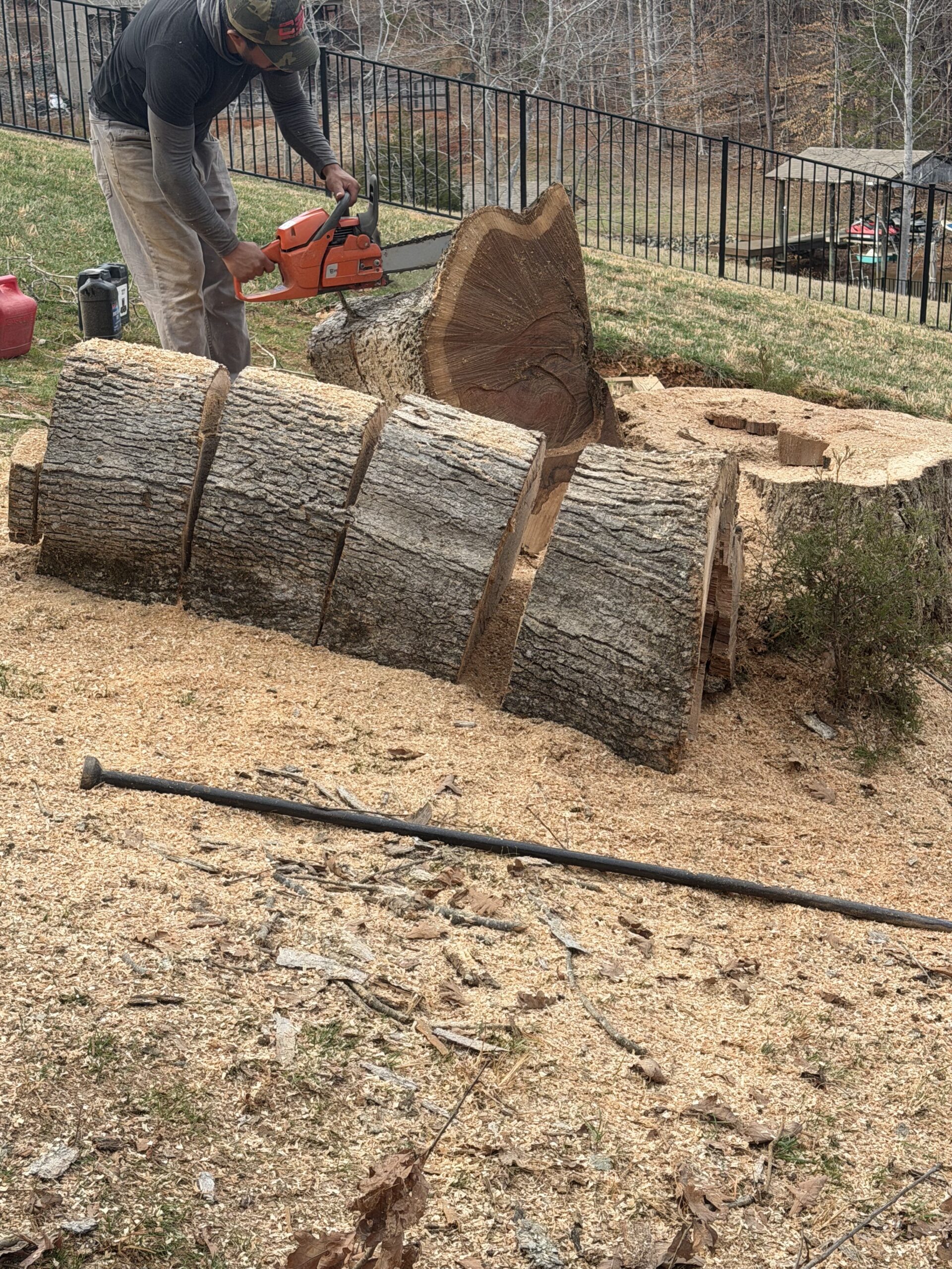 moneta tree services